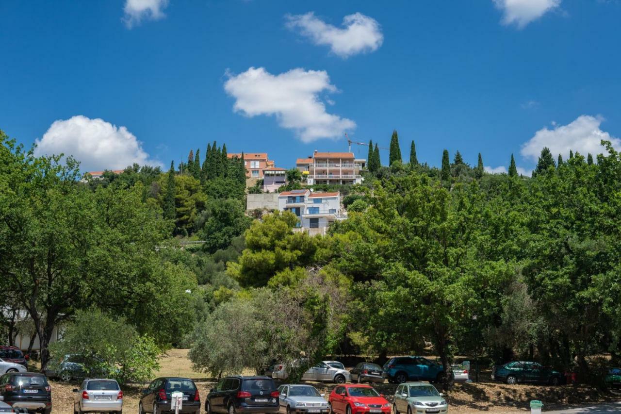 Apartmani D & J Orašac Extérieur photo