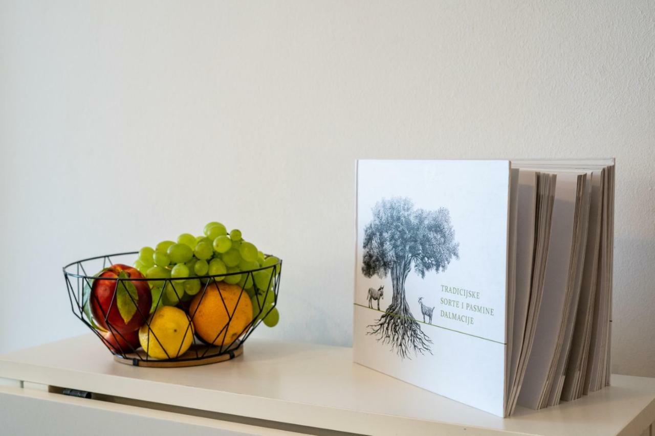 Apartmani D & J Orašac Extérieur photo