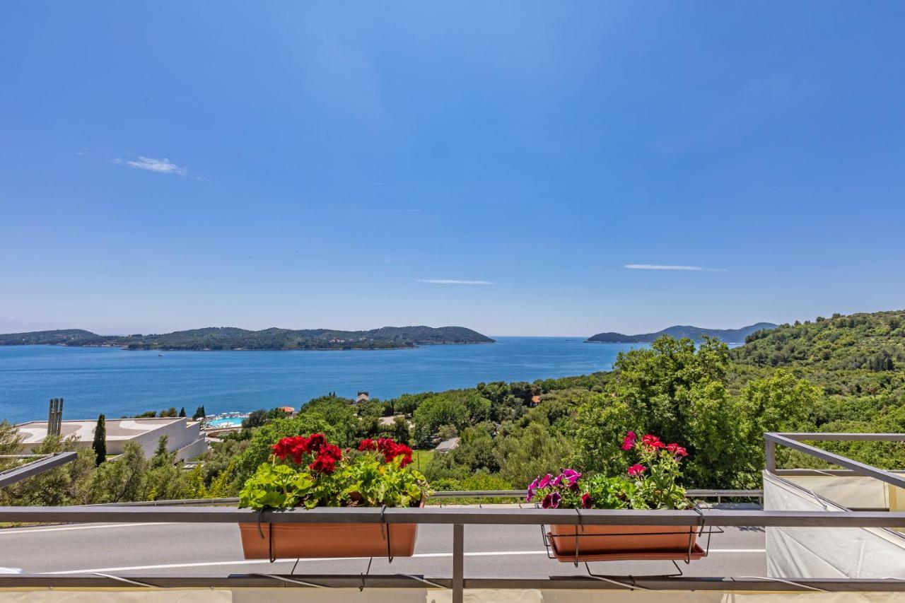 Apartmani D & J Orašac Extérieur photo