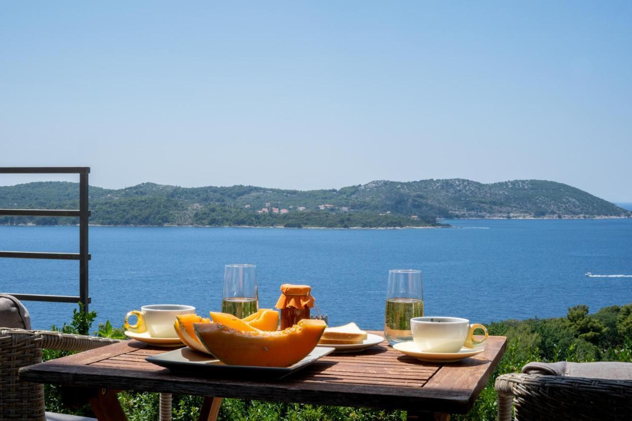 Apartmani D & J Orašac Extérieur photo